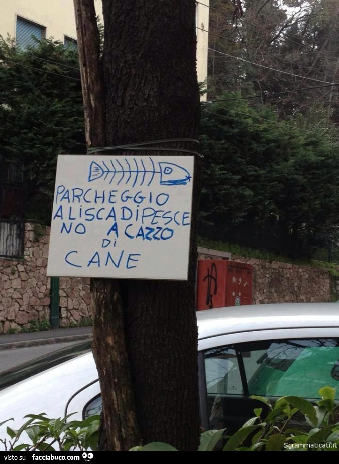 Parcheggio a lisca di pesce no a cazzo di cane