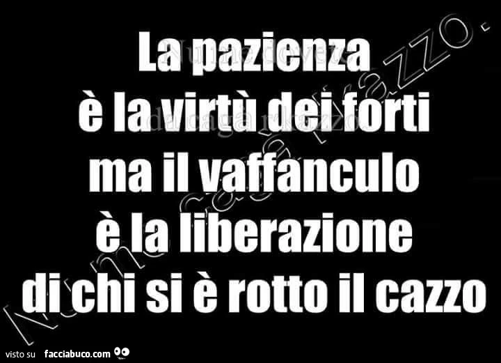La pazienza è la virtù dei forti ma il vaffanculo è la liberazione di chi si è rotto il cazzo