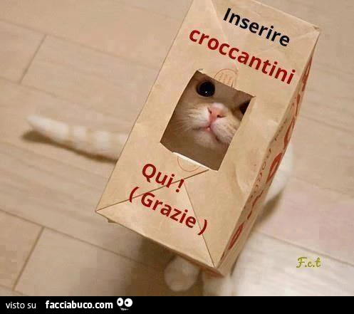 Inserire croccantini qui! Grazie