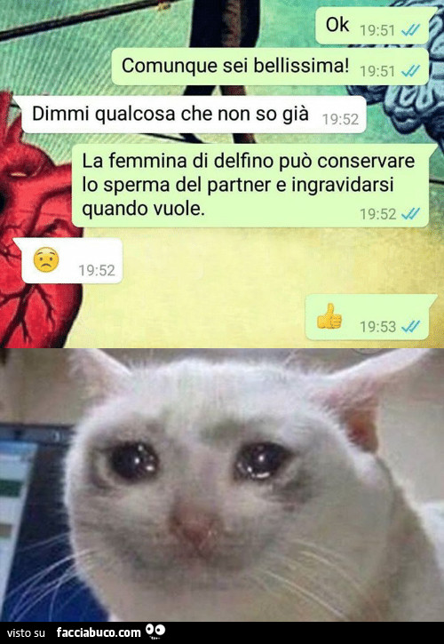 Comunque sei bellissima! Dimmi qualcosa che non so già. La femmina di delfino può conservare lo sperma del partner e ingravidarsi quando vuole