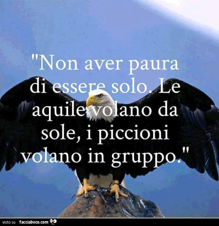 Non aver paura di essere solo. Le aquile volano da sole, i piccioni volano in gruppo