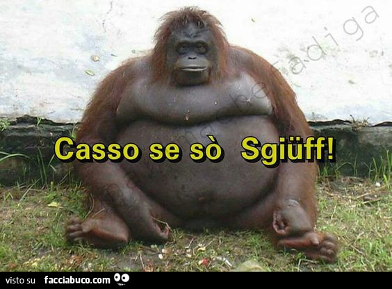 Orango: casso se sò sgiuff