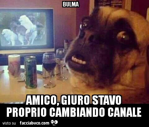 Amico, giuro stavo proprio cambiando canale