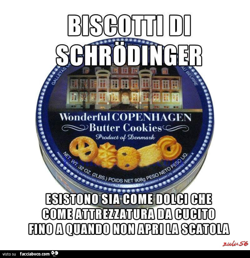 Biscotti di Schrodinger. Esistono sia come dolci che come attrezzatura da cucito fino a quando non apri la scatola