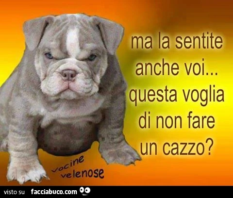 Ma la sentite anche voi questa voglia di non fare un cazzo?