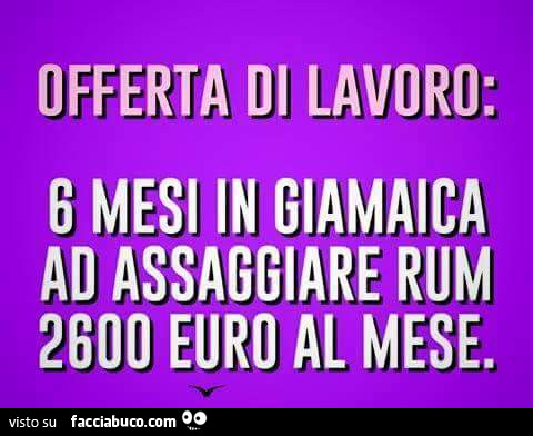 Offerta di lavoro: 6 mesi in giamaica ad assaggiare rum 2600 euro al mese