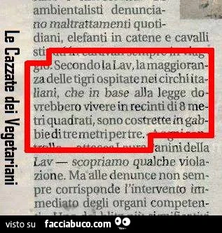 Secondo la Lav, la maggioranza delle tigri ospitate nei circhi italiani sono costrette in gabbie di tre metri per tre
