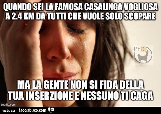 Quando sei la famosa casalinga vogliosa a 2,4 Km da tutti che vuole solo scopare ma la gente non si fida della tua inserzione e nessuno ti caga