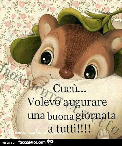 Cucù&hellip; volevo augurare una buona giornata a tutti