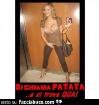 Vaccata
