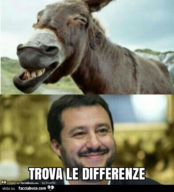 Trova le differenze
