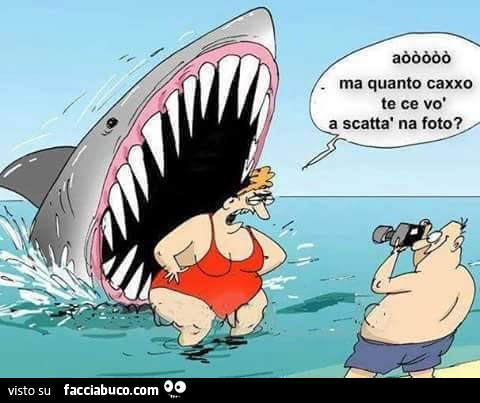 Aòò ma quanto caxxo te ce vò a scattà na foto?