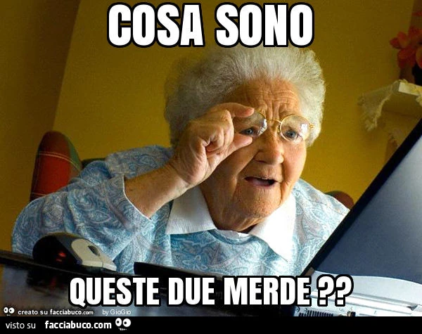 Cosa sono queste due merde ?