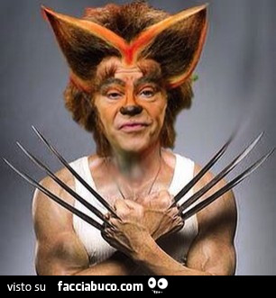Lupo Lucio come Wolverine