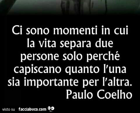 Ci sono momenti in cui la vita separa due persone solo perchè capiscano quanto l'una sia importante per l'altra. Paulo Coelho
