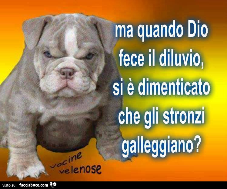 Ma quando Dio fece il diluvio, si è dimenticato che gli stronzi galleggiano?
