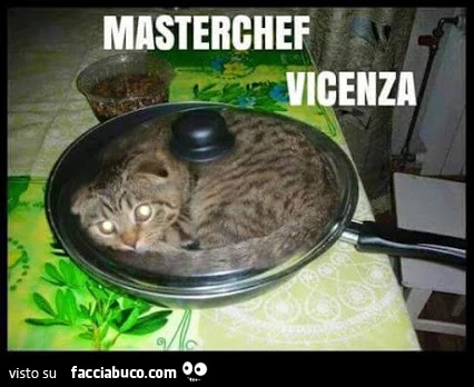 Gatto in padella. Masterchef Vicenza