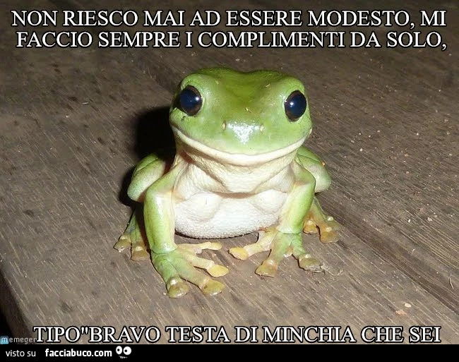 Non riesco mai ad essere modesto, mi faccio sempre i complimenti da solo, tipo bravo testa di minchia che sei