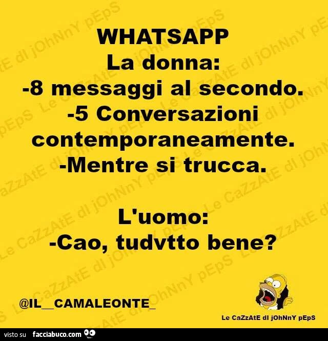 Whatsapp. La donna: 8 messaggi al secondo. 5 conversazioni contemporaneamente mentre si trucca. L'uoo: ciao, tudvtto bene?