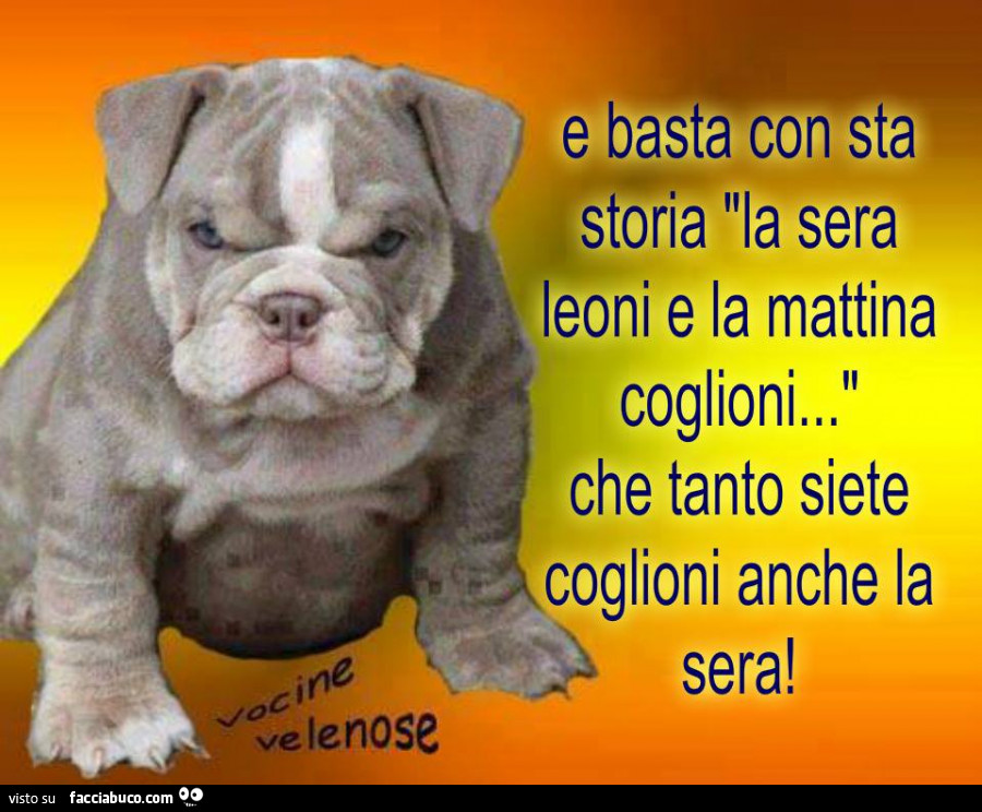 E basta con sta storia la sera leoni e la mattina coglioni… che tanto siete coglioni anche la sera