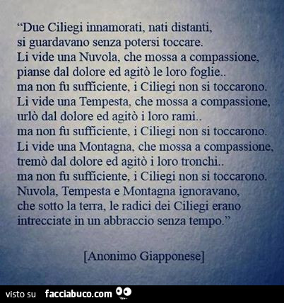 Due ciliegi innamorati nati distanti, si guardavano senza potersi toccare