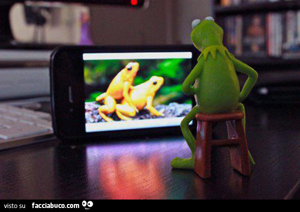 Kermit si guarda un video porno con le ranocchie