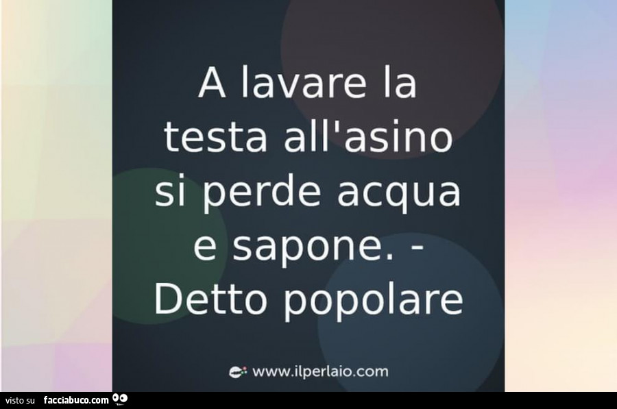 A lavare la testa all'asino si perde acqua e sapone