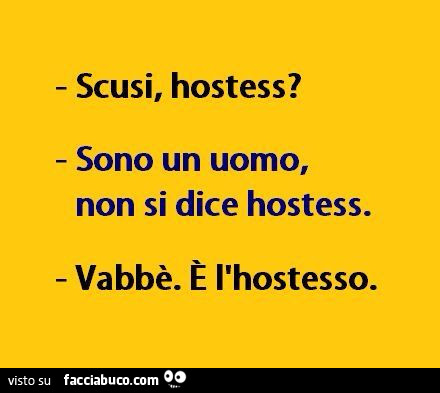 Scusi, hostess? Sono un uomo, non si dice hostess. Vabbè. È L'hostesso