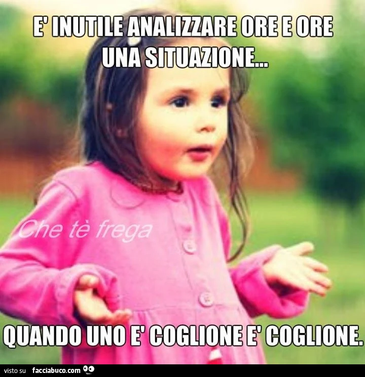 È inutile analizzare ore e ore una situazione. Quando uno è coglione è coglione