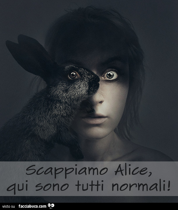Scappiamo Alice qui sono tutti normali