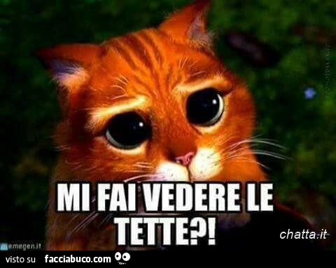 Mi fai vedere le tette?