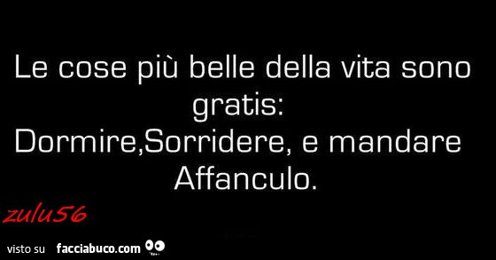 Le cose più belle della vita sono gratis: dormire, sorridere e mandare affanculo