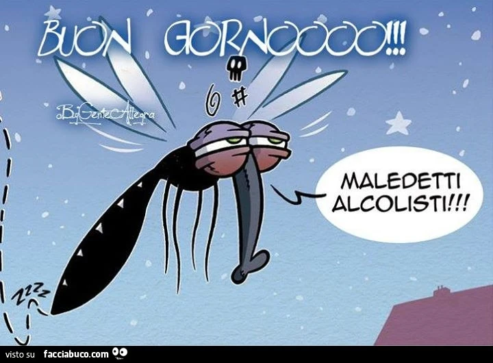 Zanzara ubriaca. Maledetti alcolisti! Buon giorno