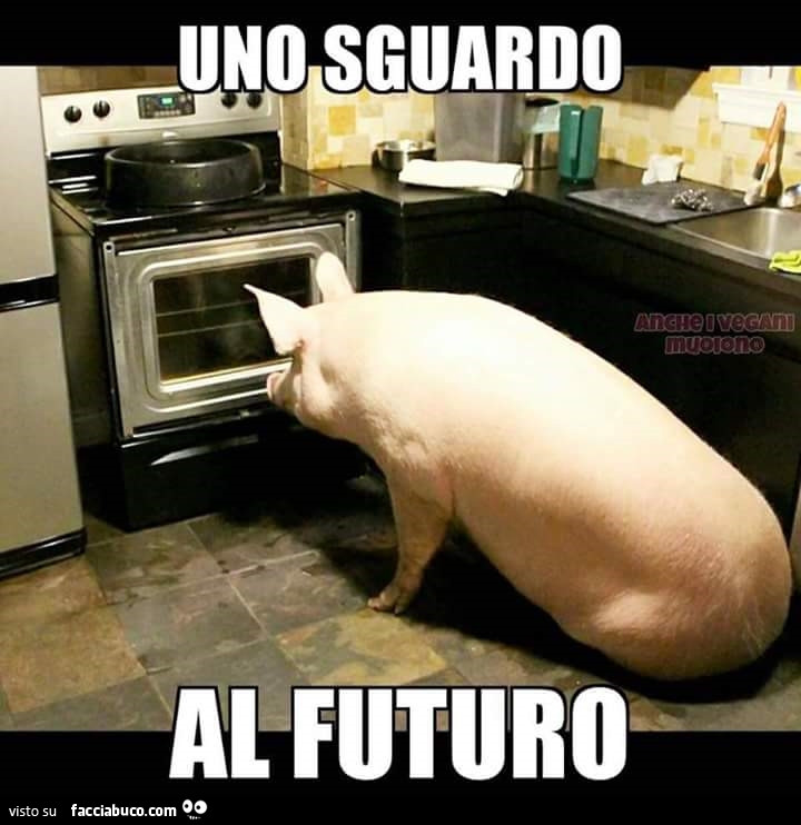 Il maiale in cucina davanti al forno. Uno sguardo al futuro