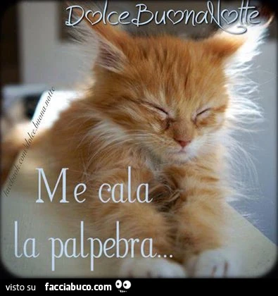 Dolce buona notte. Me cala la palpebra