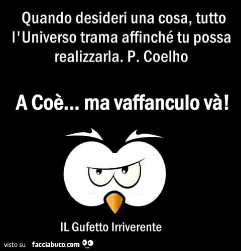 Quando desideri una cosa, tutto l'Universo trama affinchè tu possa realizzarla. P. Coelho. A Coè ma vaffanculo va