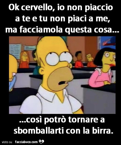 Ok cervello, io non piaccio a te e tu non piaci a me, ma facciamola questa cosa così potrò tornare a sbomballarti con la birra