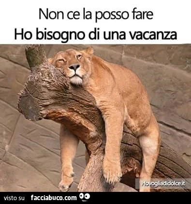 Non ce la posso fare. Ho bisogno di una vacanza