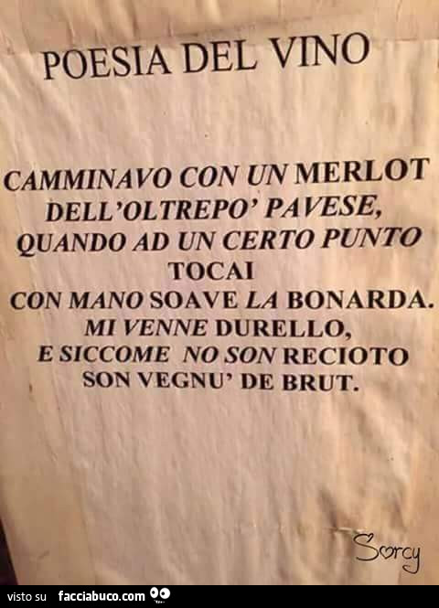 Poesia Del Vino Camminavo Con Merlot Dell Oltrepo Pavese Quando Ad Un Certo Condiviso Da Anvedicommesto Facciabuco Com