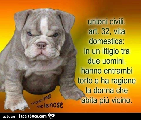 Unioni civili. Art. 32, vita domestica: in un litigio tra due uomini, hanno entrambi torto e ha ragione la donna che abita più vicino