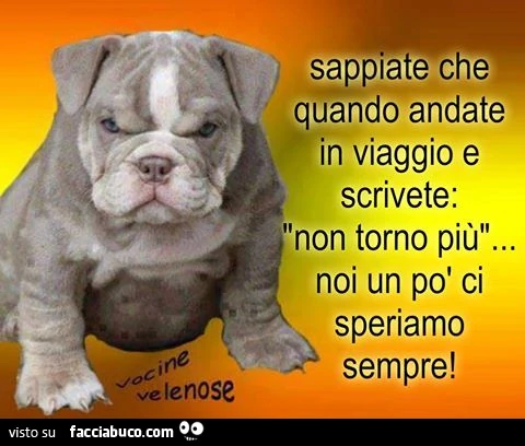 Sappiate che quando andate in viaggio e scrivete: non torno più, noi un po' ci speriamo sempre