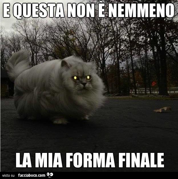 E questa non è nemmeno la mia forma finale