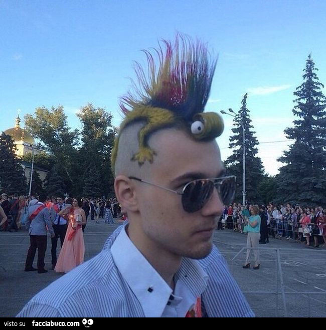 Acconciatura in stile camaleonte punk