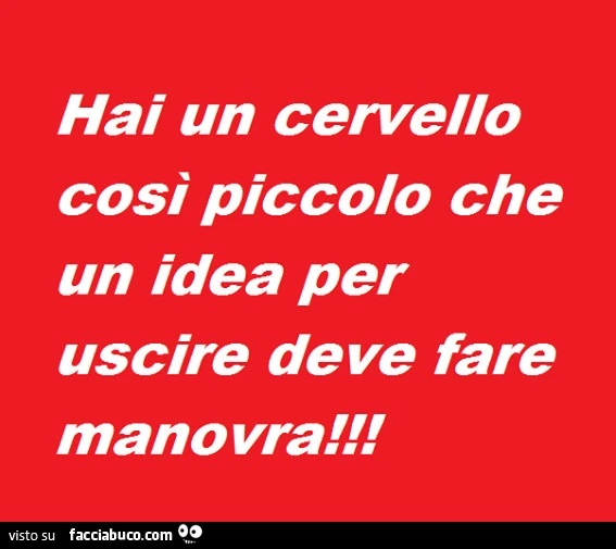 Hai un cervello così piccolo che un idea per uscire deve fare manovra
