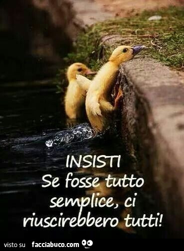 Insisti. Se fosse tutto semplice, ci riuscirebbero tutti