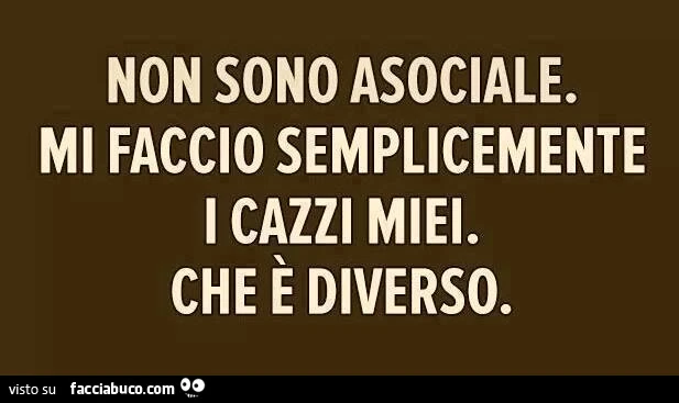 Non sono asociale, mi faccio semplicemente i cazzi miei. Che è diverso