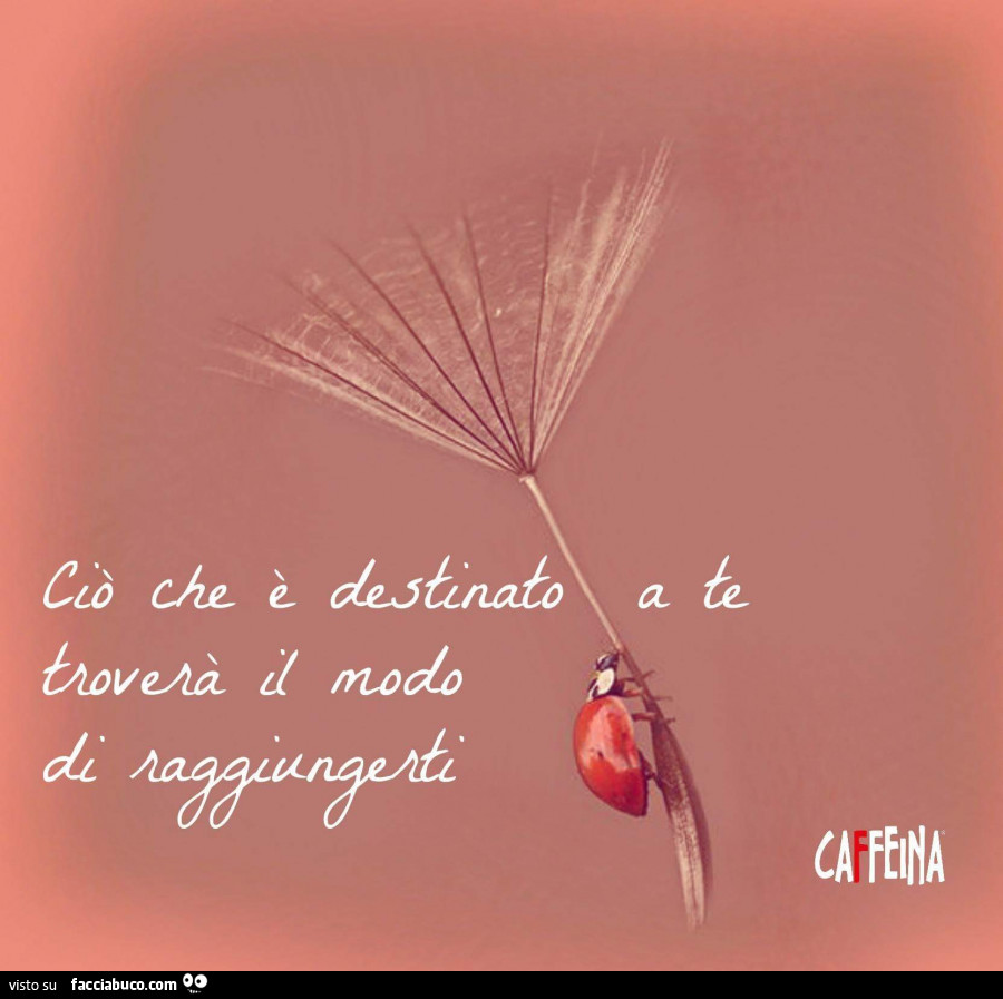 Cio Che E Destinato A Te Trovera