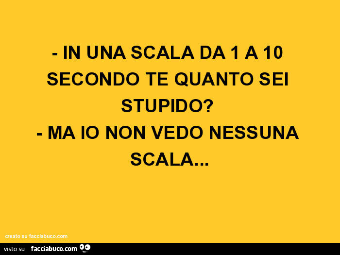 In una scala da 1 a 10 secondo te quanto sei stupido? - Ma io non vedo nessuna scala