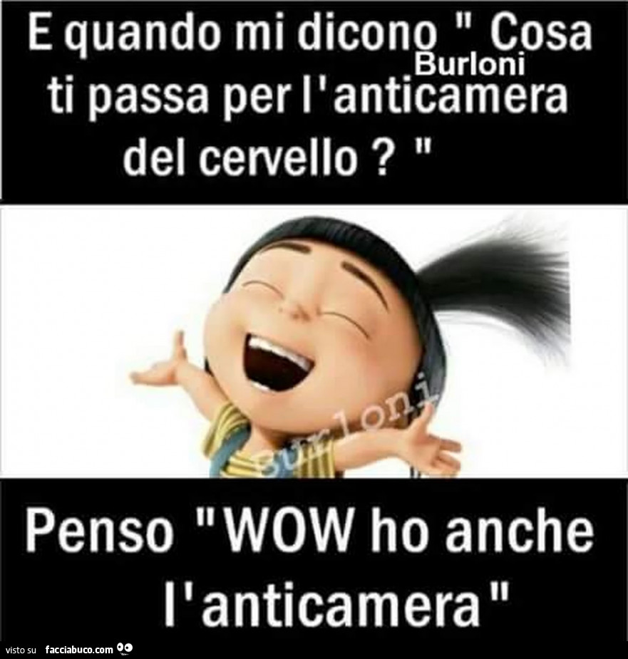 E quando mi dicono: cosa ti passa per l'anticamera del cervello penso wow ho anche l'anticamera