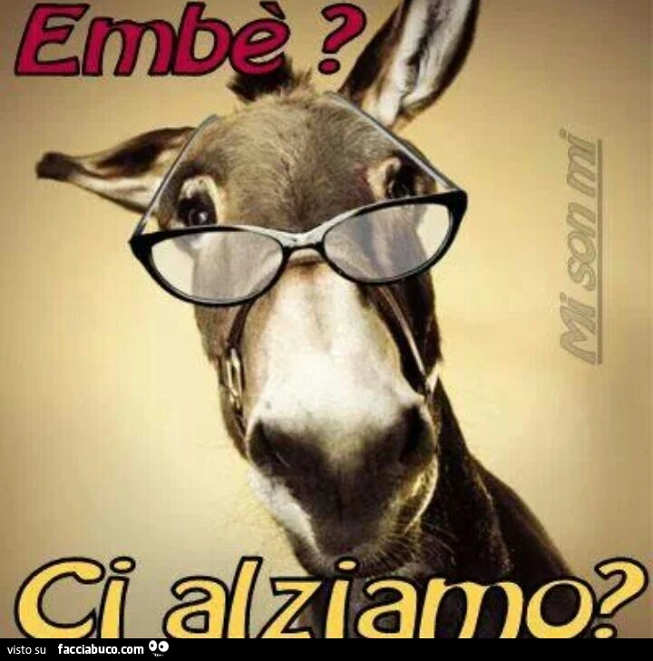 Embè ci alziamo?